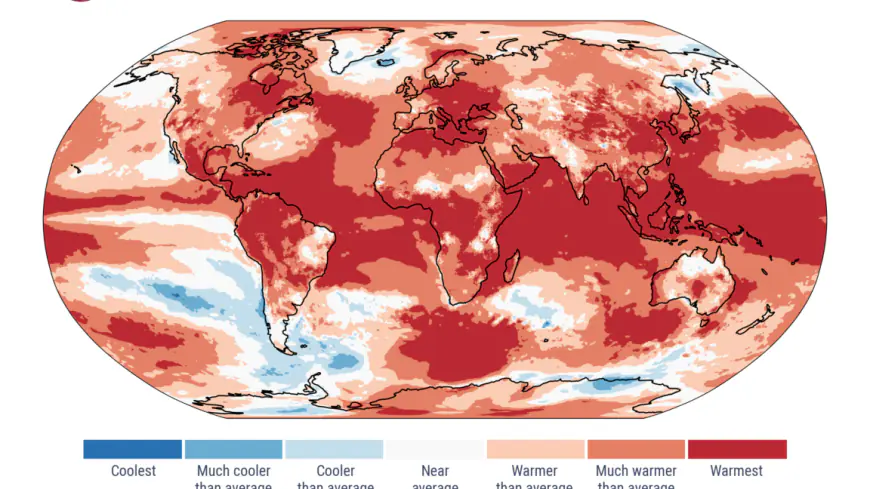 It’s official: 2024 was the warmest year on record