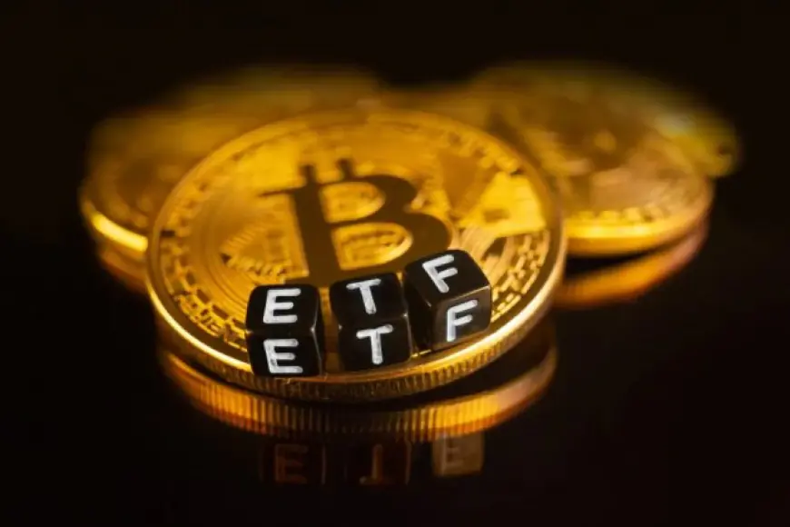 Pakar Crypto Membagikan Beberapa Prediksi Terkait ETF untuk Tahun 2025