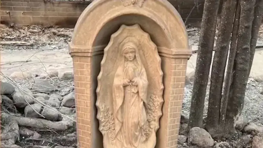 Calif. family’s Virgin Mary statue survives LA wildfire that destroyed home in ‘remarkable’ miracle