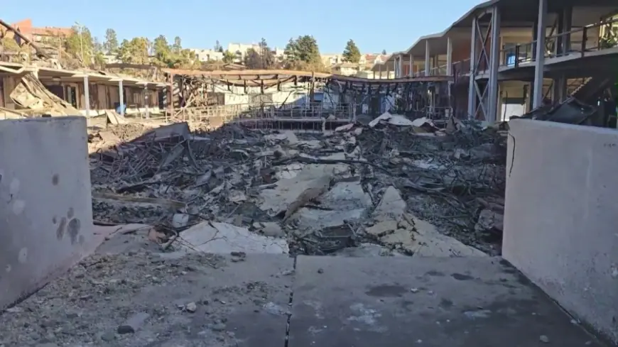 Destroyed Pacific Palisades school seeks temporary learning space for students after devastating wildfire