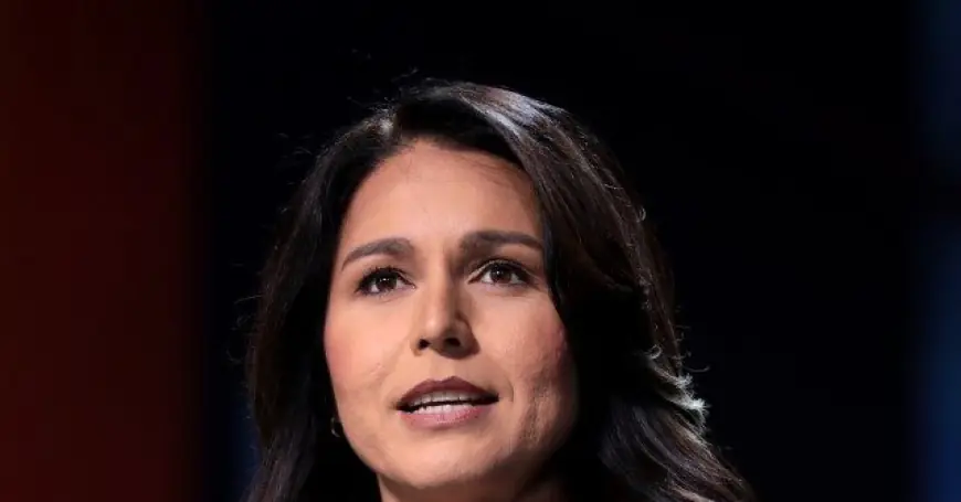 Former Intel Officials: DNI Nominee Tulsi Gabbard Has Put 'Party Loyalty Far Behind Duty to Country'