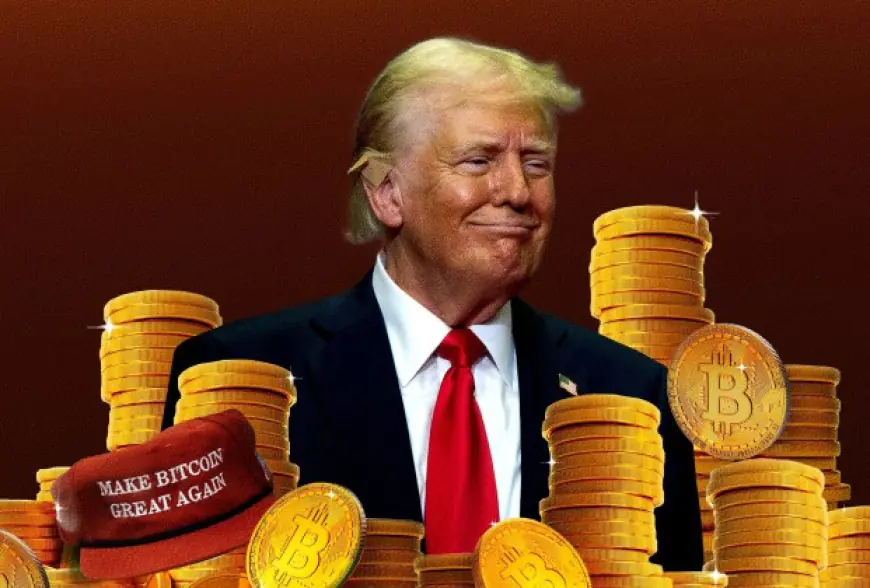 Trump’s $30 Billion Wealth Is Nearly 80% Crypto, Hoskinson Claims