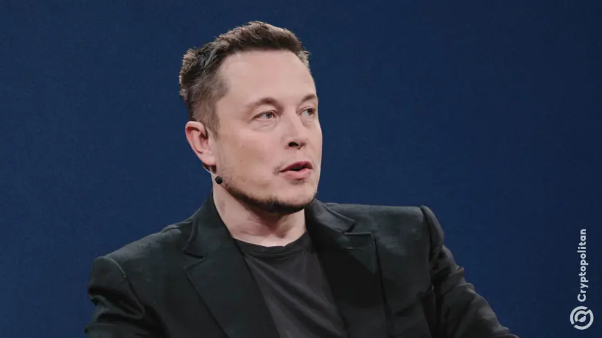 Elon Musk admits to cheating in Diablo and Path of Exile games