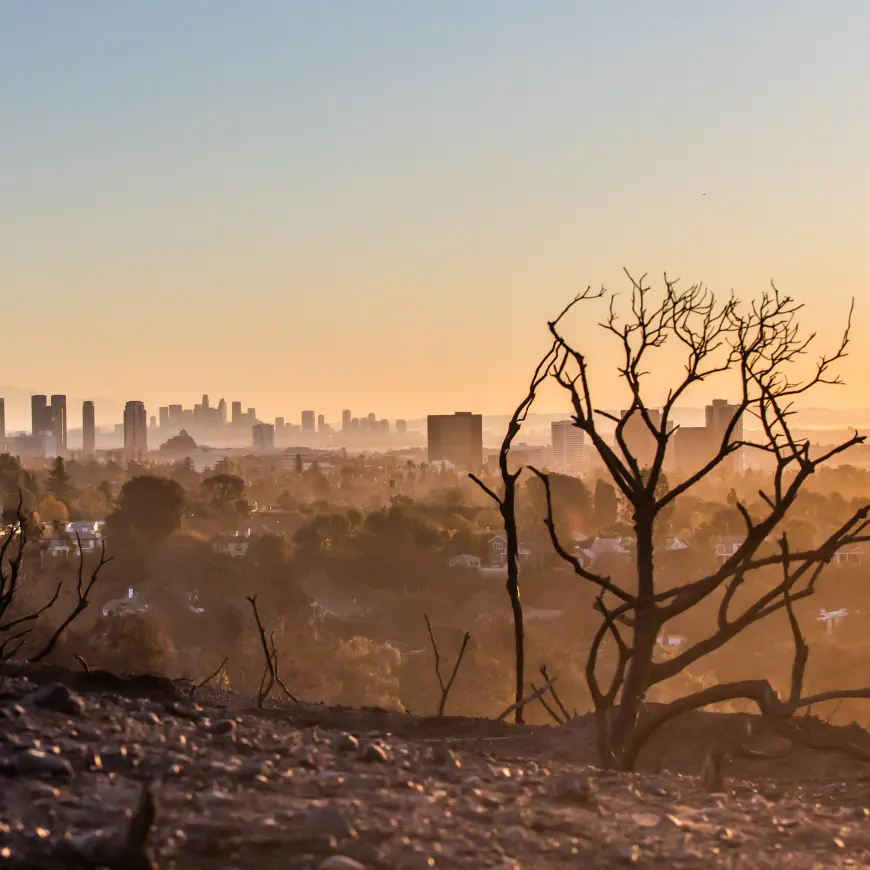 How to Protect Your Skin and Hair From Wildfire Smoke, According to MDs