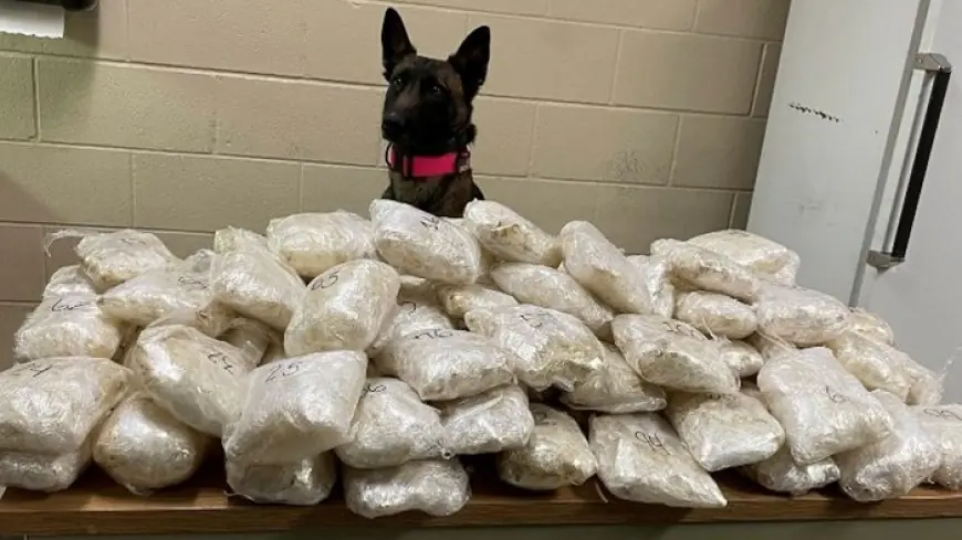 Colorado Springs police seize over a hundred pounds of methamphetamine