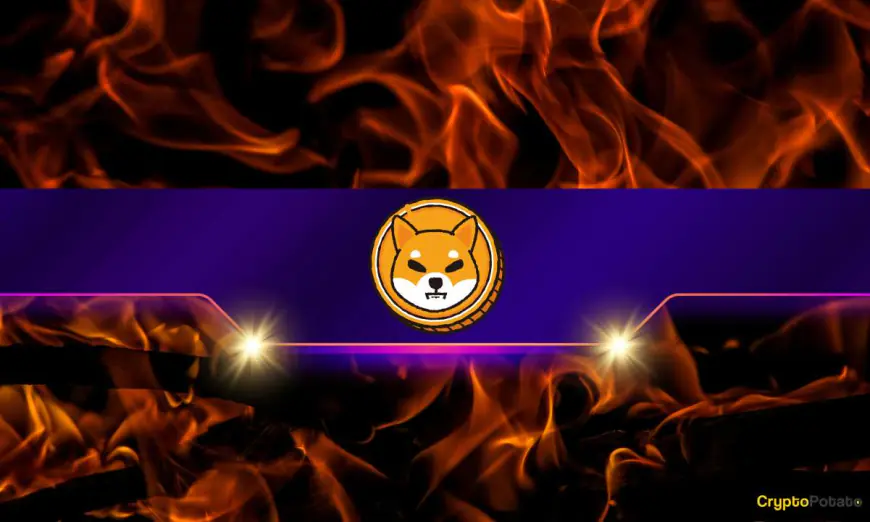 Shiba Inu Burn Rate Explodes by Over 7,000%: Is the SHIB Price Ready to Take off?