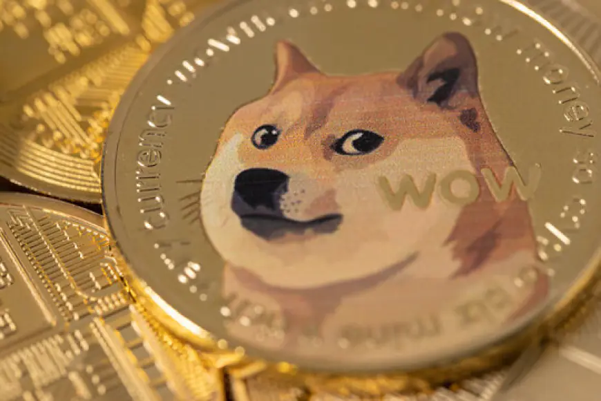 Dogecoin Price Crash Not Over? 51.81% Of All Traders Are Betting On Further Decline