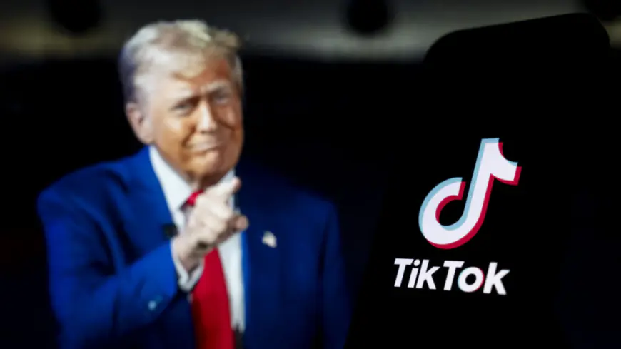 Trump says U.S. government could buy TikTok