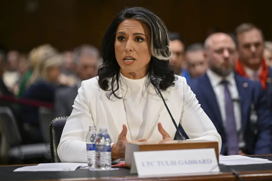 Tulsi Gabbard One Step Closer To Confirmation with Backing of Senate Intelligence Committee