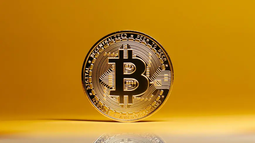 Trump's Crypto Czar Says BTC Is Excellent Store of Value, Bitcoin Reserve a Top Priority