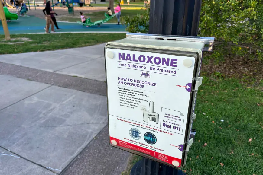 Freibott: Expand access to anti-opioid drugs on campus