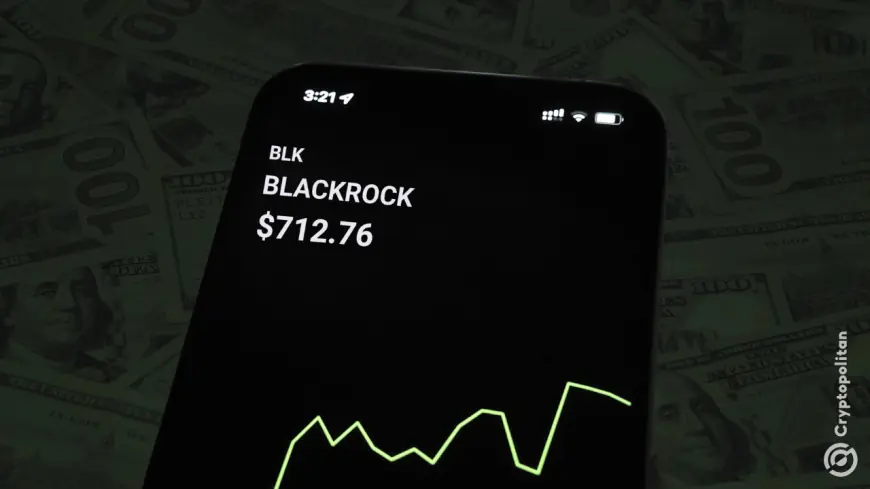 BlackRock and FDIC in talks over bank stakes compliance amid growing crypto influence