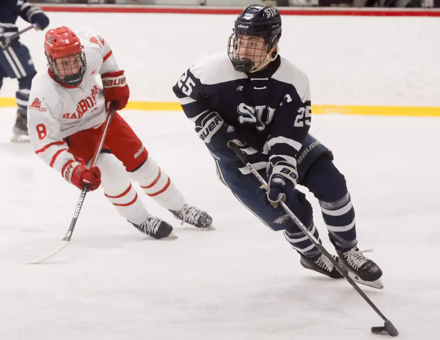 MIAA boys hockey tournament pairings