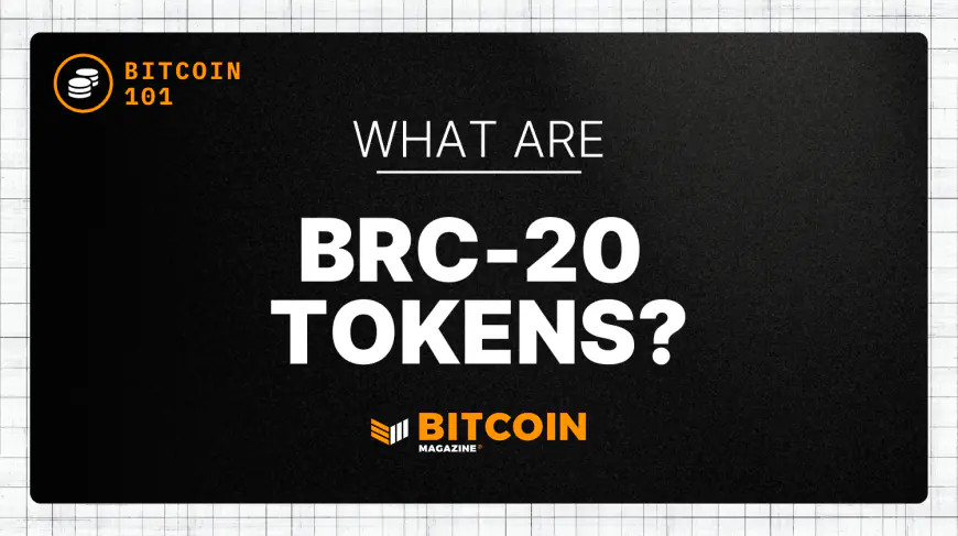 What are BRC-20 Tokens?