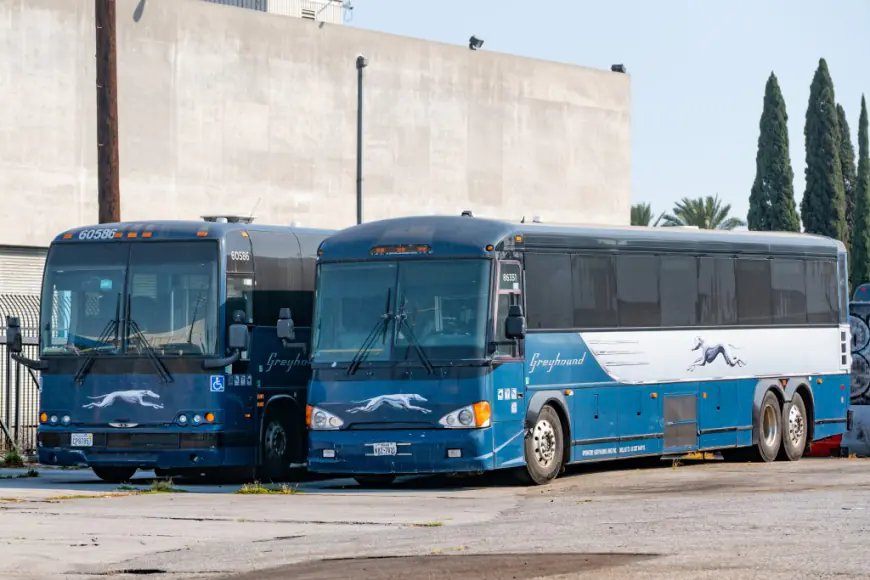 Bus travel sees ‘steady growth’ as flyers seek alternative transportation to flying: ‘Fear and uncertainty’
