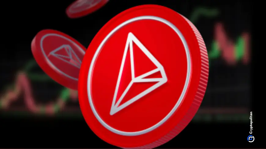 TRON transactions come from stablecoin uses and P2P transfers, producing record fees