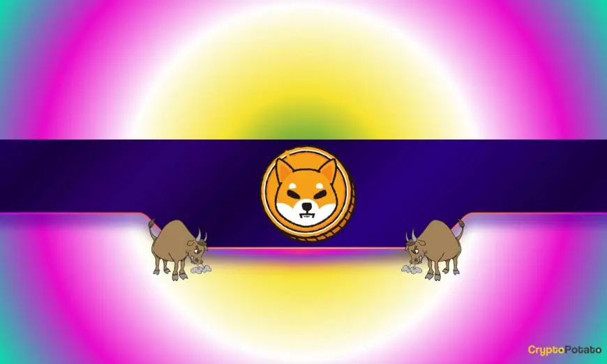 3 Reasons a Shiba Inu (SHIB) Rally May Be Closer Than You Think