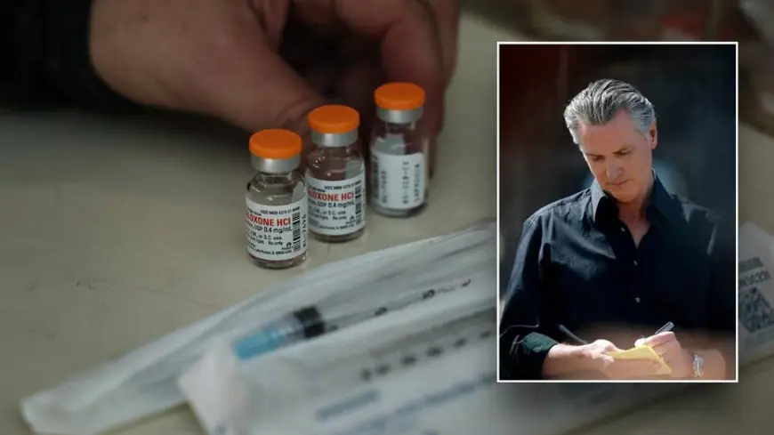 Newsom makes generic $24 Narcan available after pro-drug policies push 'safe' use