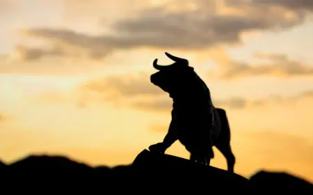 Bitcoin Funding Rates Remain Positive On Binance — Strong Uptrend Confirmed?
