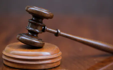 Ex-San Diego surrogacy consultant sentenced for stealing client funds