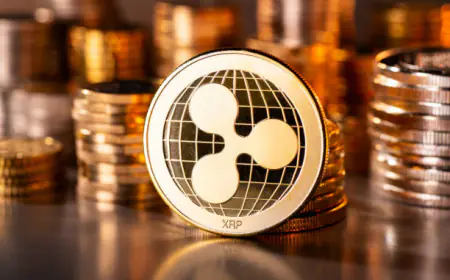 Ripple Issues Stern Warning To Investors As CEO Celebrates New XRP Milestone