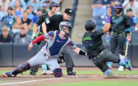 Clemens homers again as Twins beat Rays