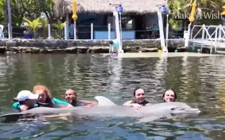 Teen struggling with rare condition swims with dolphins as part of Make A Wish Southern Florida’s mission