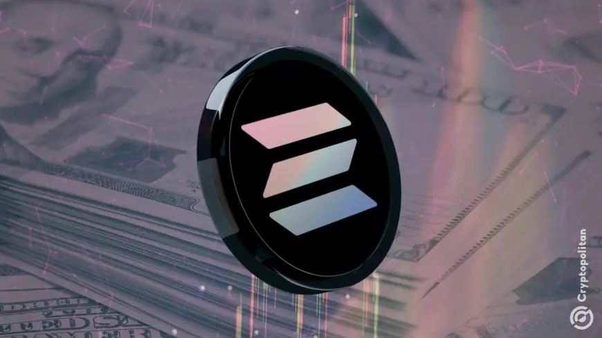 Solana surpasses all other L1 and L2 chains in 24-hour network revenue