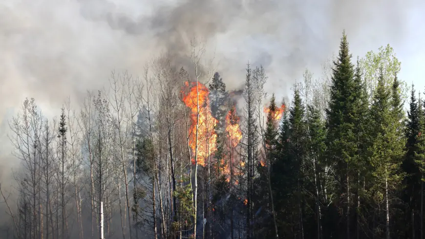 Northern Minnesota fires: If no rain, gusting wind may be ‘game-changer,’ sheriff says