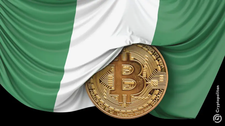 Nigeria’s blockchain whitepaper draws fire for ignoring unresolved crypto tensions