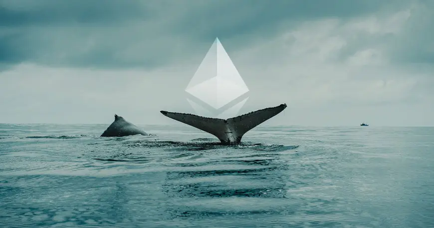 Popular Whale Loses Big Trading ETH and SUI This Week
