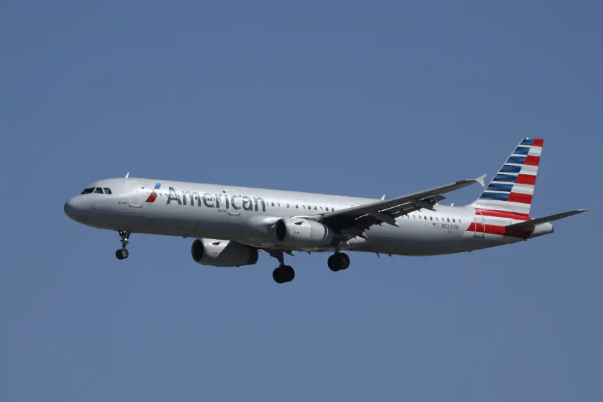 ‘Coming with me': Passenger attacks flight attendant on Chicago-bound plane