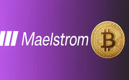Maelstrom Announces Its Fourth Bitcoin Developer Grant Recipient