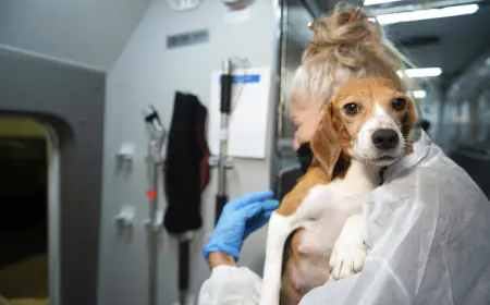 F.D. Flam: ‘Organs-on-a-chip’ is one of many alternatives to animal testing