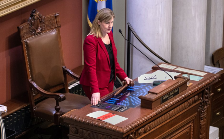 DFL leader Melissa Hortman shot and killed in targeted shooting