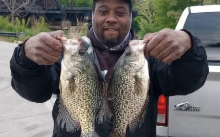 Chicago outdoors: Chicago crappie for FOTW and deer in Beverly