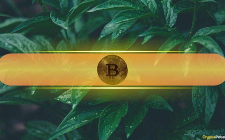 Rare Investor Alignment Emerges as Bitcoin (BTC) Rallies From Geopolitical Dip