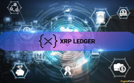 XRP Ledger Activity Surges 7x as Ripple Whale Wallets Reach Record High