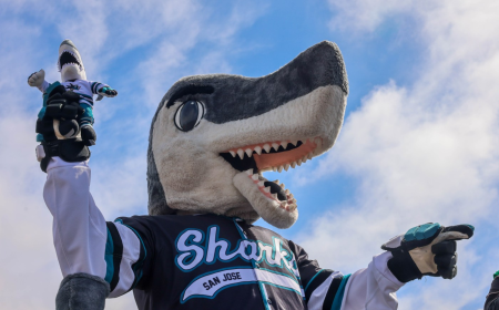S.J. Sharkie of San Jose Sharks given ultimate honor — for a mascot