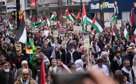 Canada’s Pro-Palestinian Supporters Throw Their Support to Iran, Infuriating Iranian Ex-Pats 