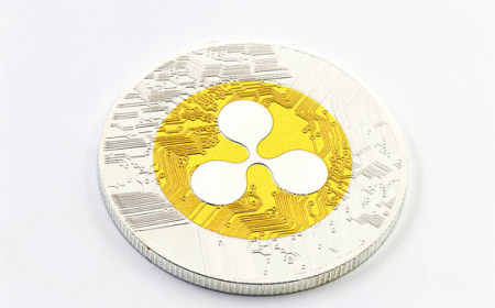 XRP 5-Wave Count Shows When The Price Will Hit All-Time Highs Above $5