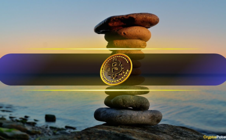 Macro Uncertainty Meets Market Balance in Bitcoin’s On-Chain Activity