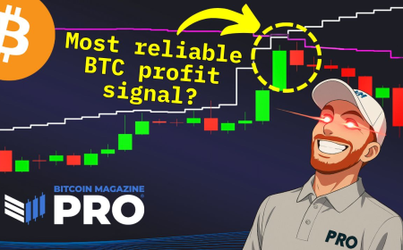 Forecasting Bitcoin Price Cycle Peak with the 200-Week Moving Average