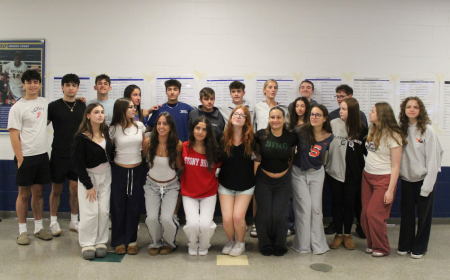 15 sets of twins set to graduate from one Long Island high school