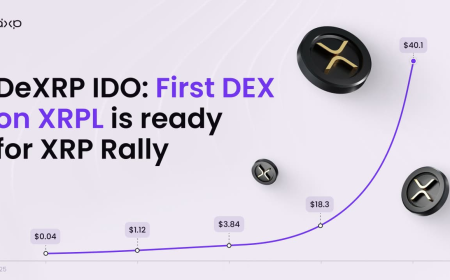 DeXRP, the First-Ever DEX on XRPL Announced Its IDO – Amidst the Ripple Rally