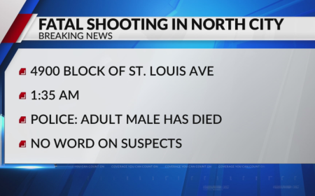 SLMPD detectives investigating two fatal shootings