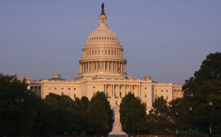 Senate upholds ban on State AI laws in Trumps budget bill