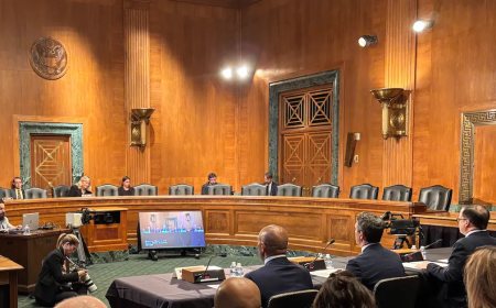 Panelists at Senate Banking Hearing on Crypto Market Structure Call for Regulation ASAP