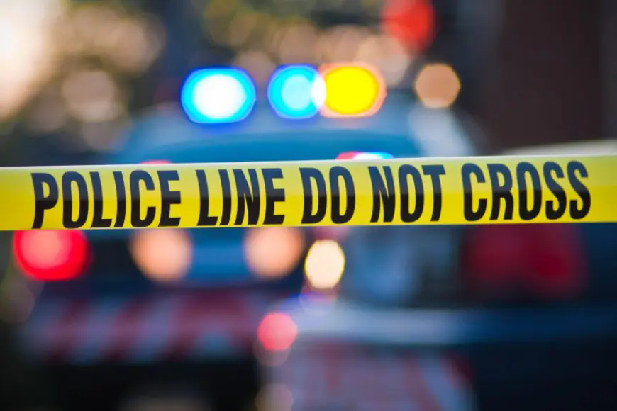 2 adults found dead in Adams County home after sheriff's deputies fatally shoot man holding knife