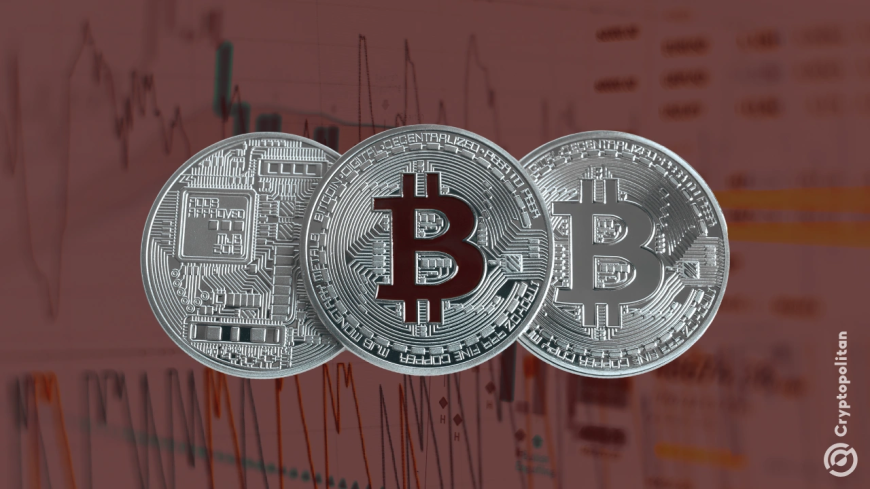 VanEck analyst warns BTC Treasury model may backfire